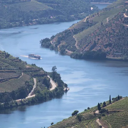 Socalcos Do Douro House Lantgård *