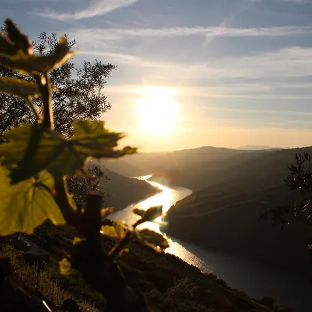 Κατάλυμα σε φάρμα Socalcos Do Douro House Valença do Douro