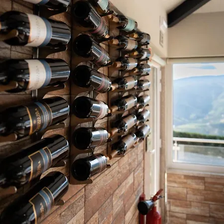 Socalcos Do Douro House