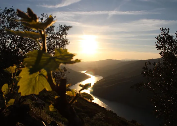 Alojamento de Turismo Rural Socalcos Do Douro House Valença do Douro