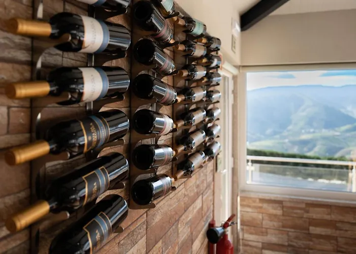 Socalcos Do Douro House